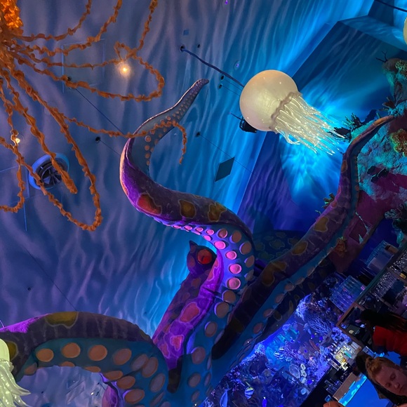 Meet your Posher, Jaelinn - Picture 1 of 1